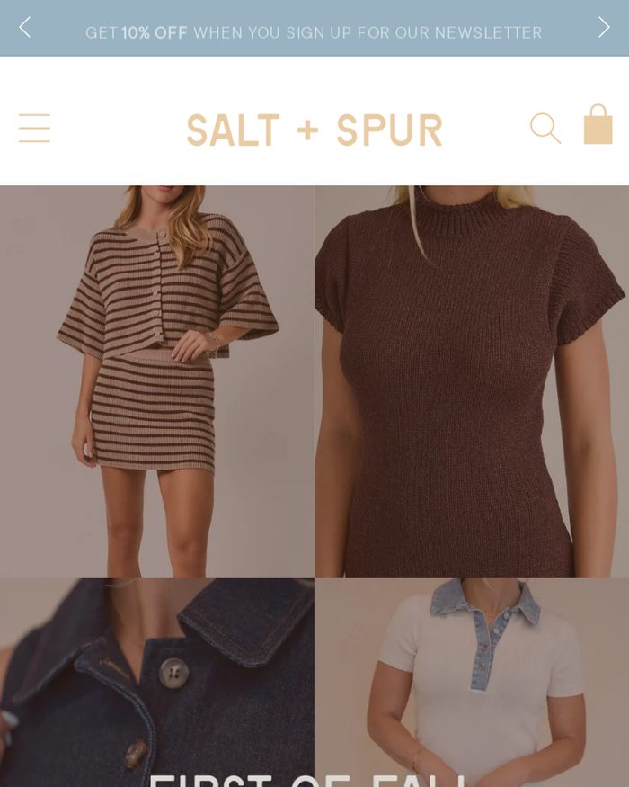 Salt + Spur Boutique website homepage